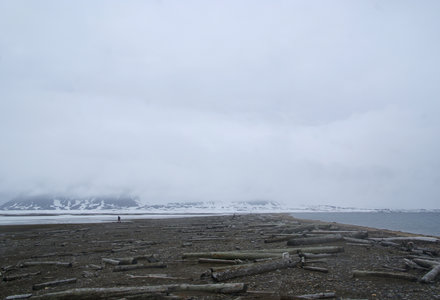 5_Landingen_met_Plancius_op_Spitsbergen_27