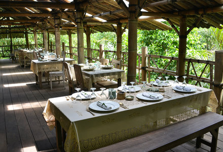 28_FA_Dining_in_Bamboo_Forest_Restaurant