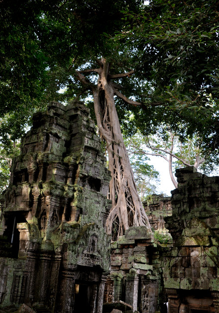 34_Angkor_Wat_15